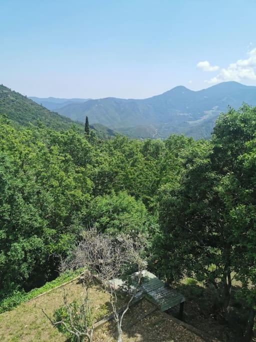 Apartment 2 Ou 4 Personnes. Venaco Venaco (Corsica)